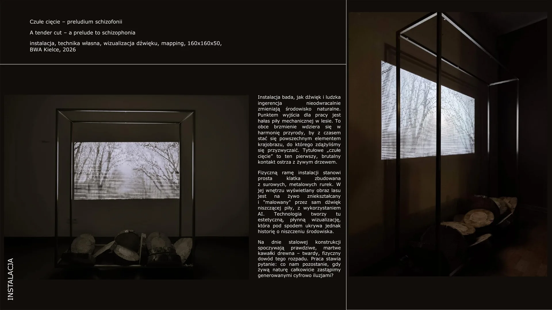 Agata Tusień — portfolio sztuki intermedialnej — strona 27