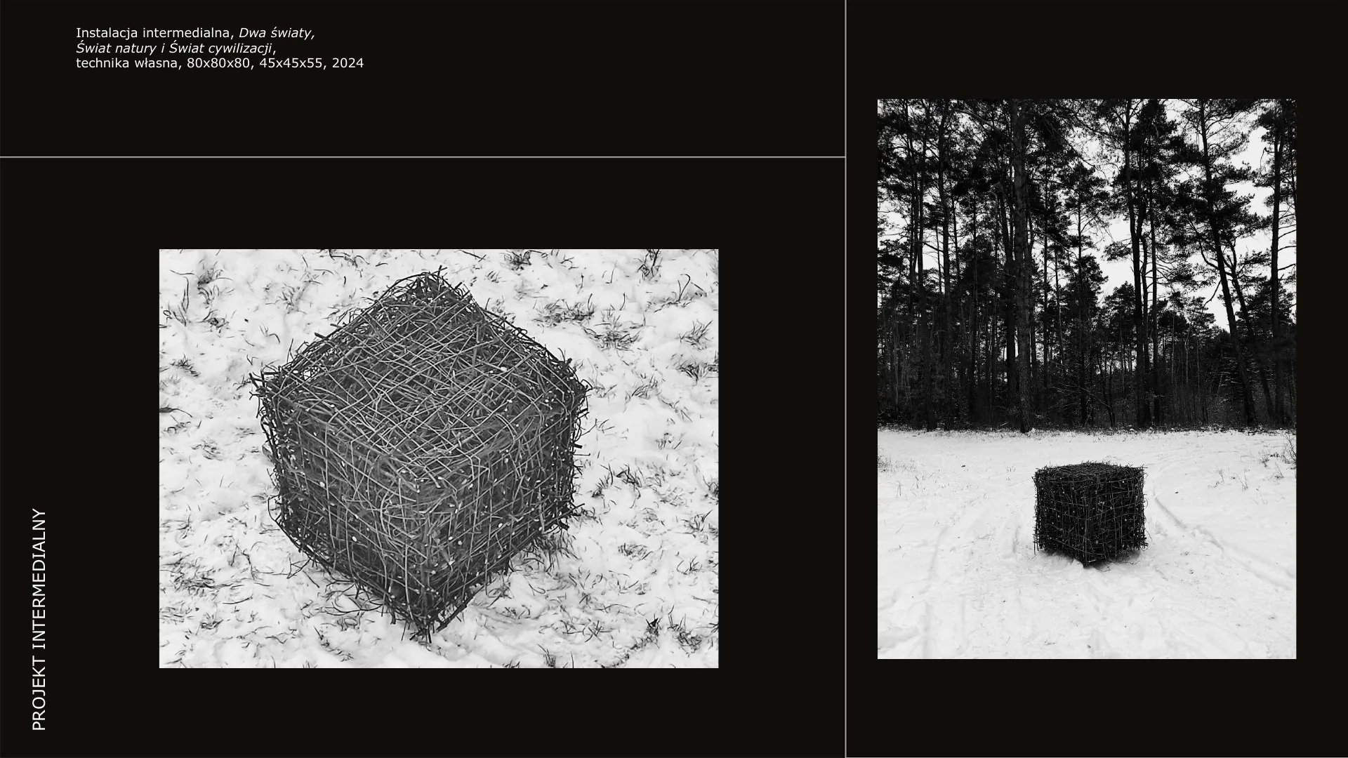 Agata Tusień — portfolio sztuki intermedialnej — strona 32