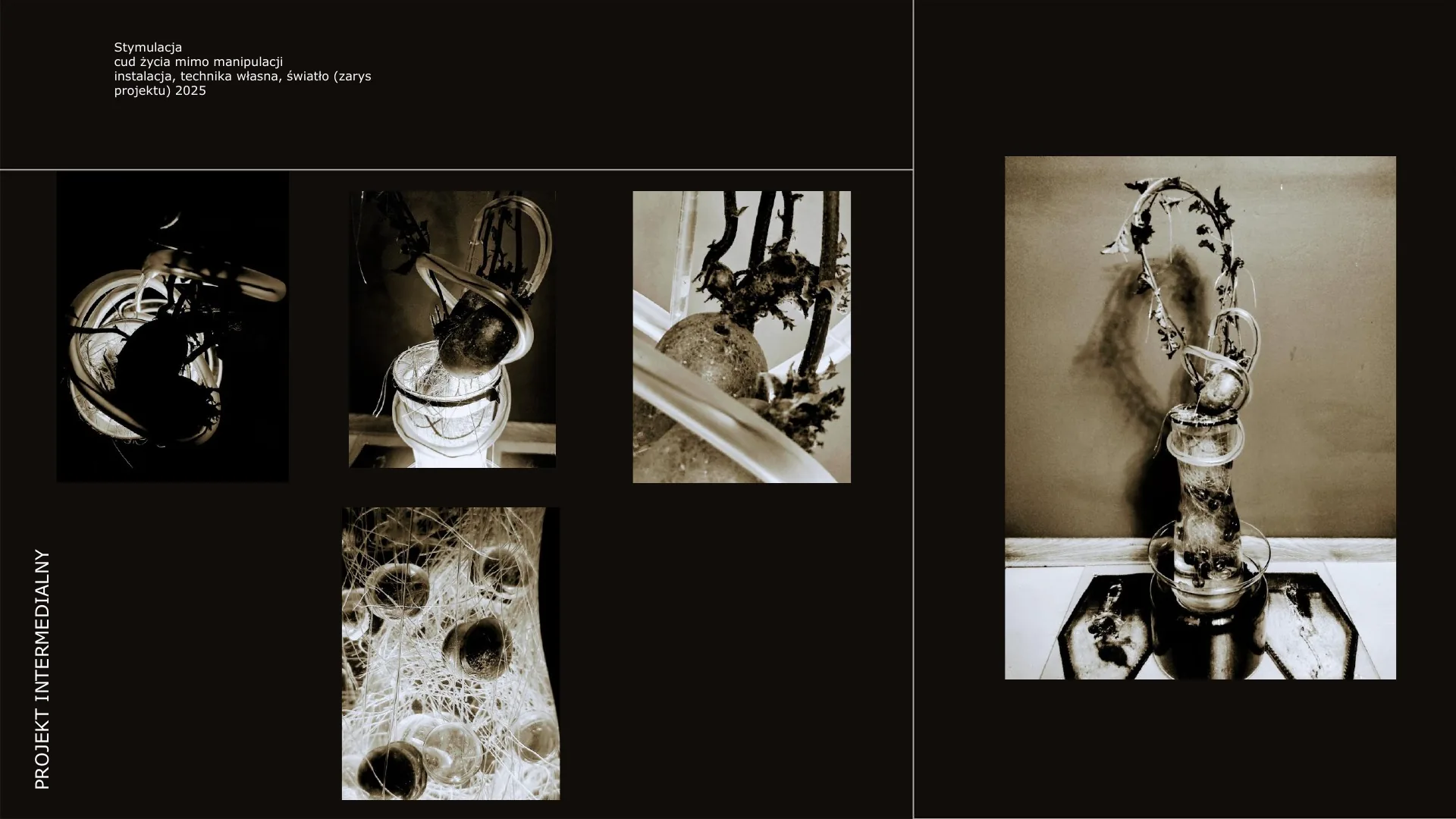 Agata Tusień — portfolio sztuki intermedialnej — strona 34